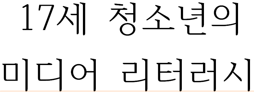 17세 청소년의 미디어 리터러시