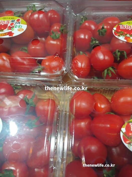 방울토마토 효능 조리법 열