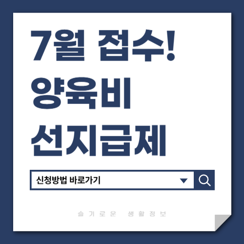 양육비 선지급제 신청