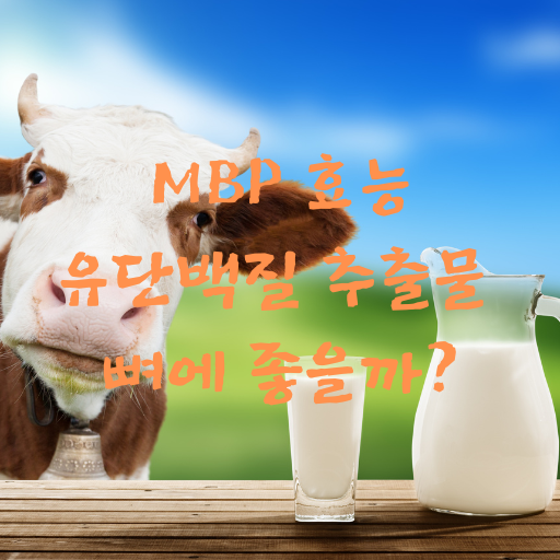 mbp 유단백질추출물 효능