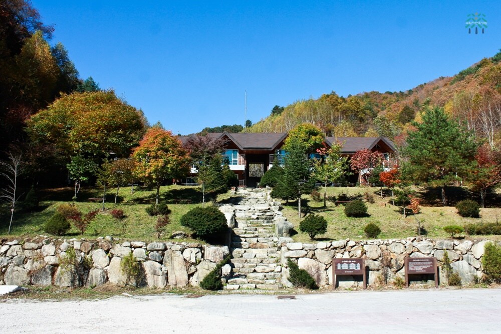 철원 복주산 자연휴양림 주변 맛집 카페 마트 전통시장 특산물 강아지 동반 정보