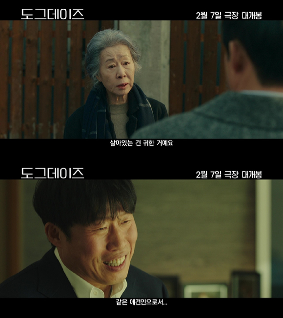&#39;도그데이즈&#39;가 2월 7일 개봉된다. [사진=CJ ENM]