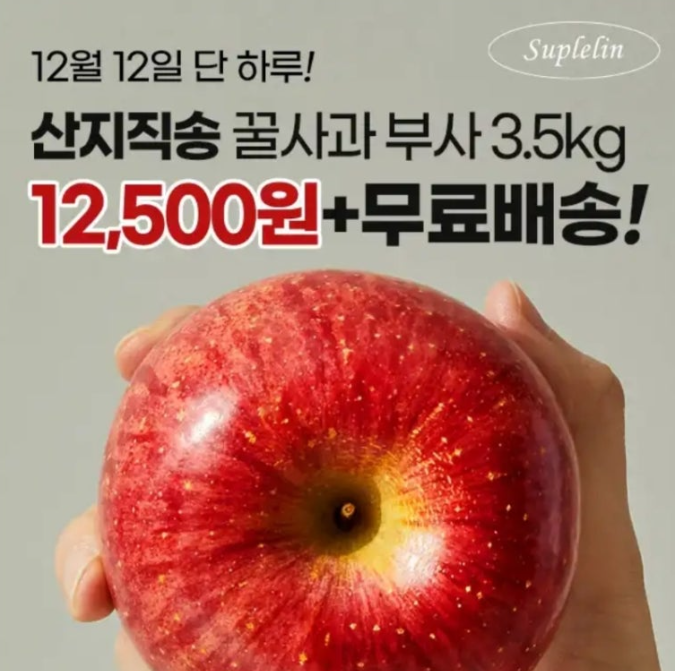 2024년 12월 12일 Suplelin 산지직송 영주 꿀사과 부사 캐시워크 정답