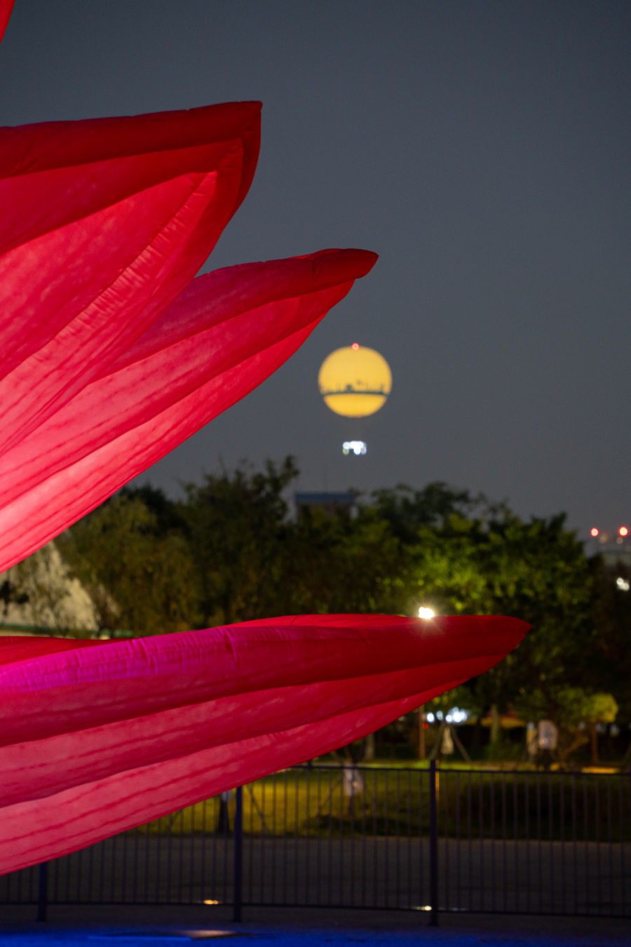 수원 화성행궁 연꽃