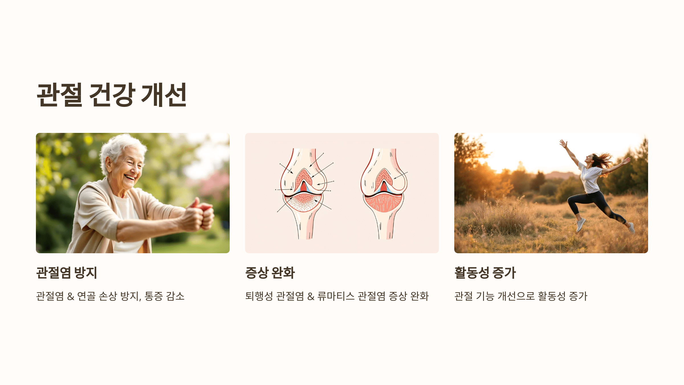 보스웰리아와 관련된 사진입니다.