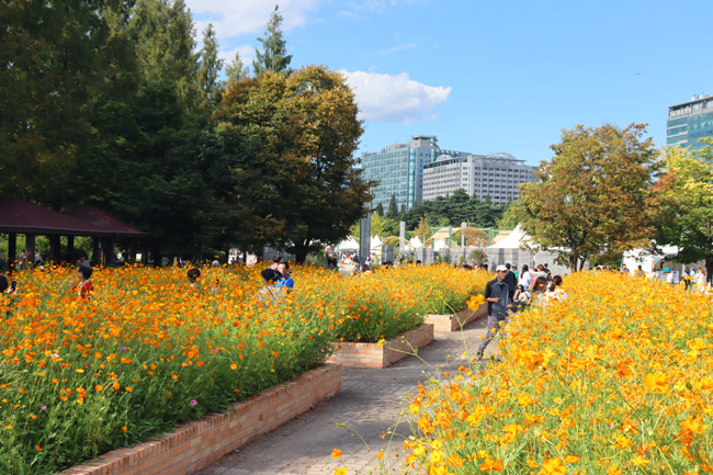 2024 고양 가을꽃축제