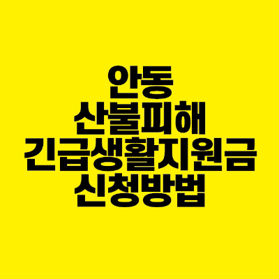 썸네일-안동-산불피해-긴급생활지원금-신청방법