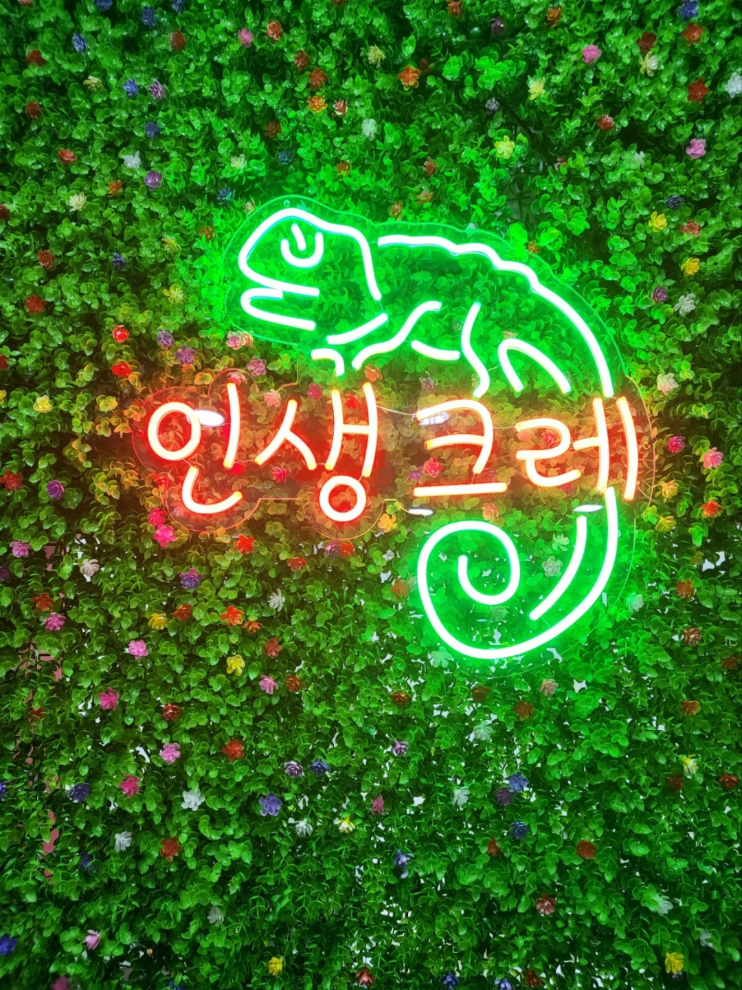 크레스티드 게코