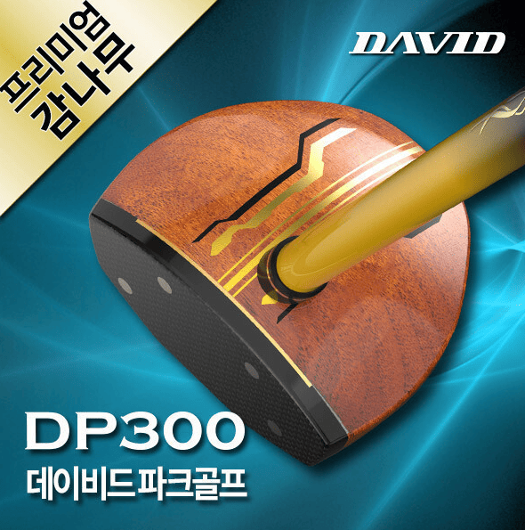 파크골프채 추천 순위 TOP 5(25년 6월) - 네이버, 쿠팡, G마켓 판매 랭킹 분석