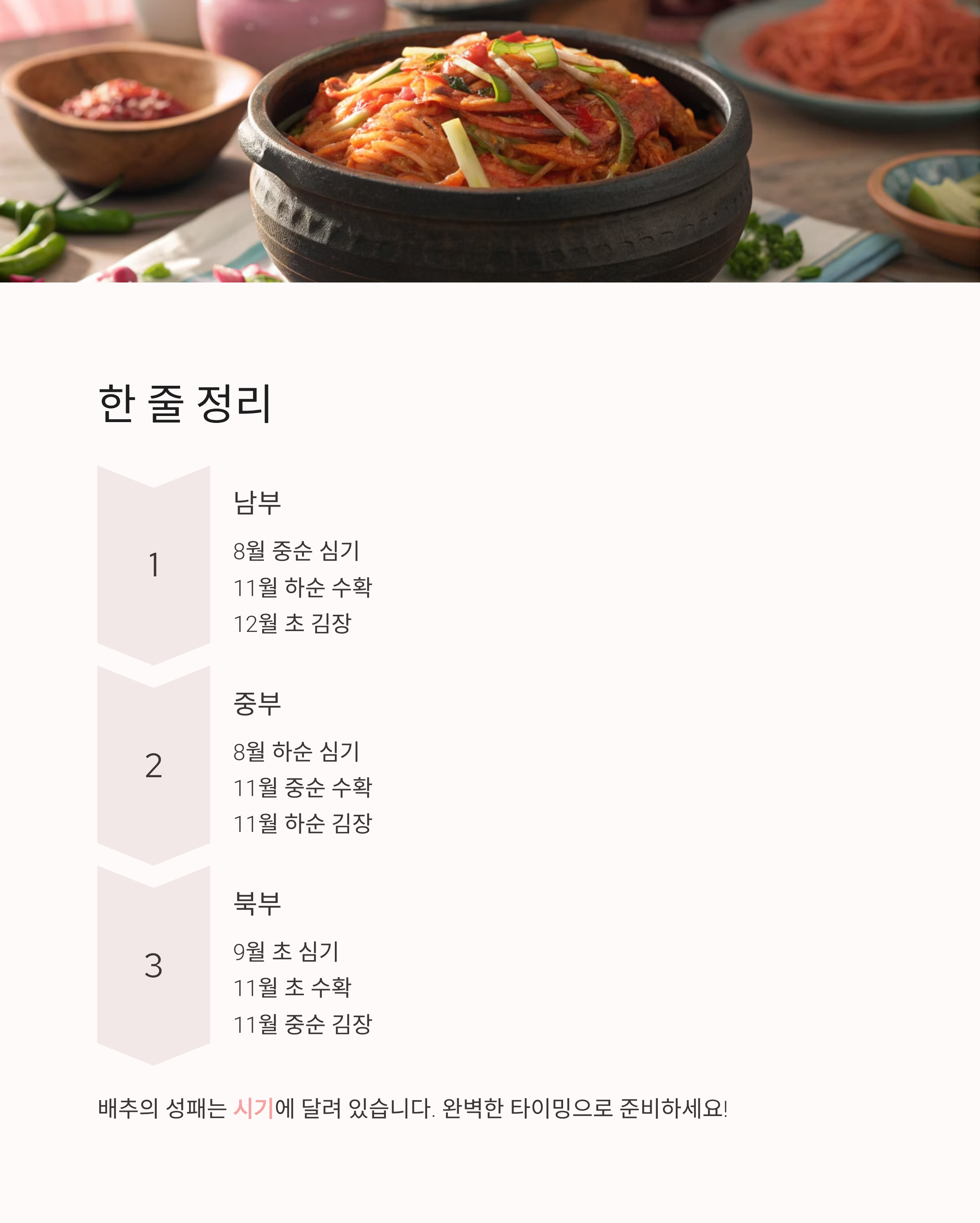 2025년 김장배추심는시기 · 수확시기 · 김장시기 ❘ 실패 없는 일정 완벽 가이드