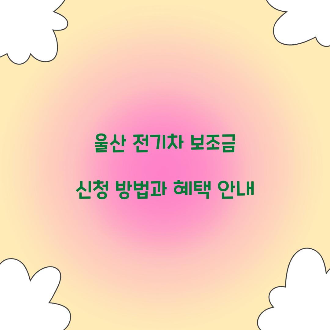 울산 전기차 보조금