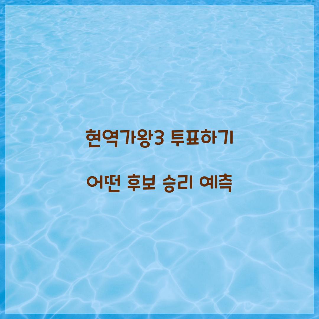 현역가왕3 투표하기