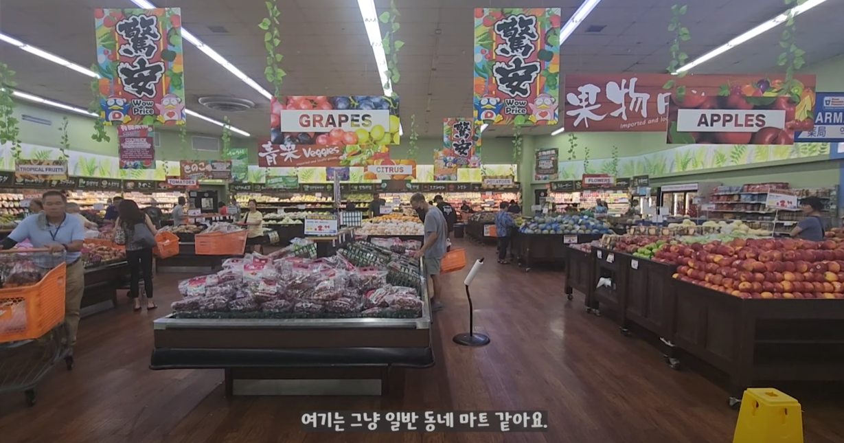 돈키호테-아이템