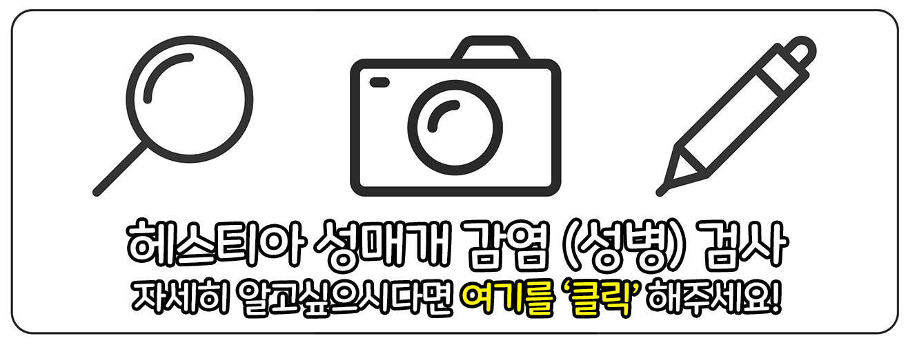 헤스티아 여성의원 성매개감염 성병검사