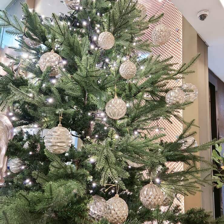 미래로병원-대기실-트리