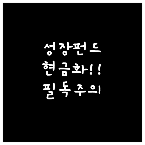 국민성장펀드 현금화 방법 거래소 상장..