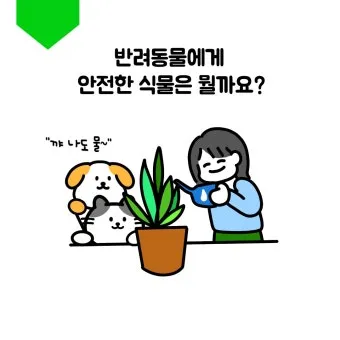 반려동물 안전 실내 식물선택 독성체크 배치높이 관리 간단 가이드_3