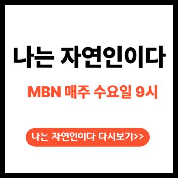 자연인미리보기