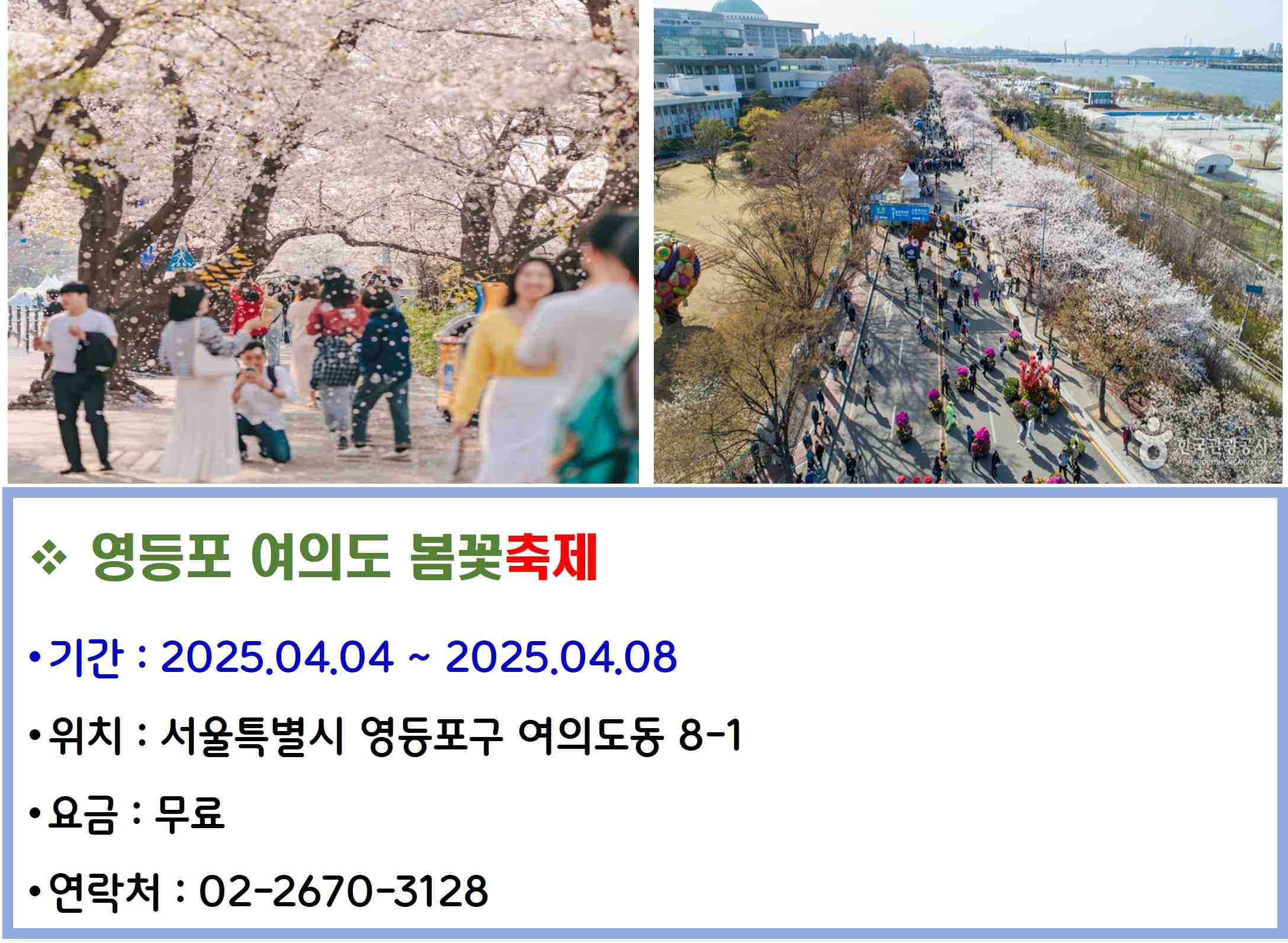 영등포 여의도 봄꽃축제