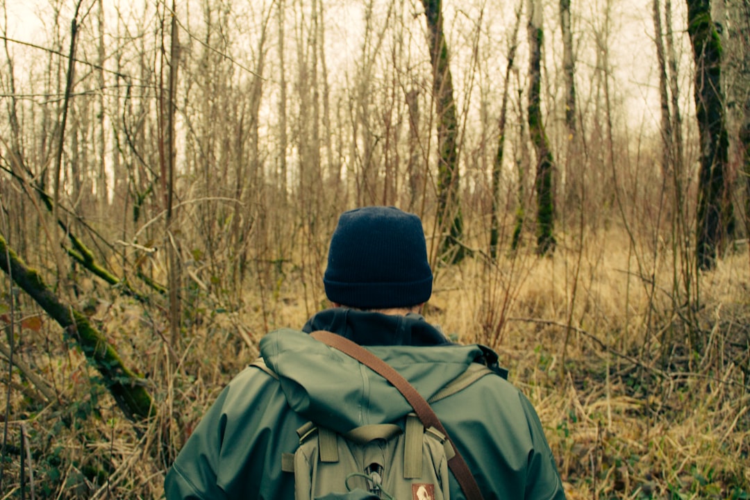 Roaming