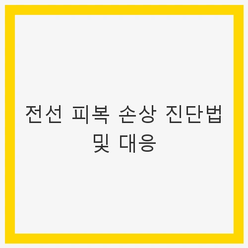 전선 피복 손상 진단법 및 대응