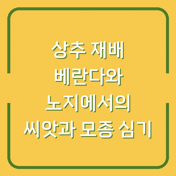 상추 재배 베란다와 노지에서의 씨앗과 모종 심기