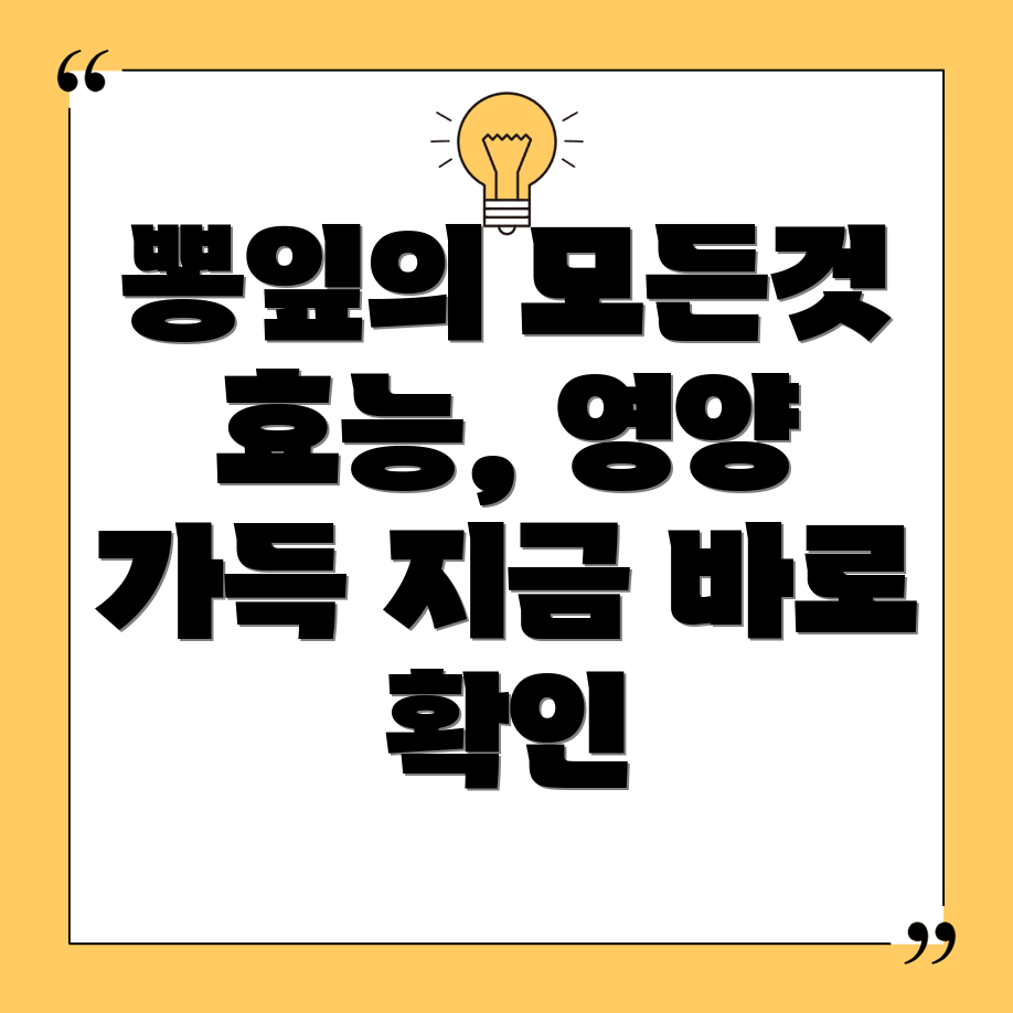 뽕잎