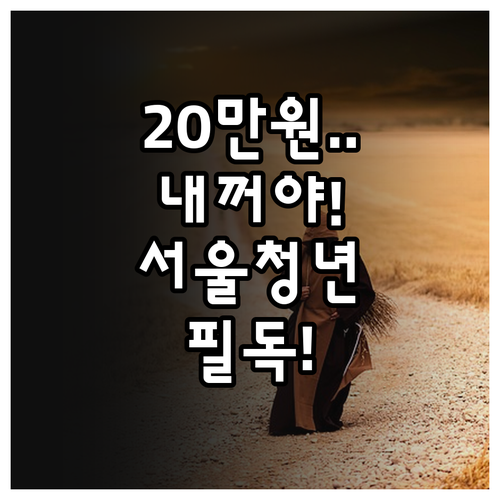2025 서울청년문화패스 20만원 지..
