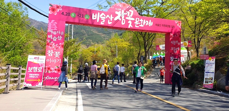비슬산 참꽃문화제