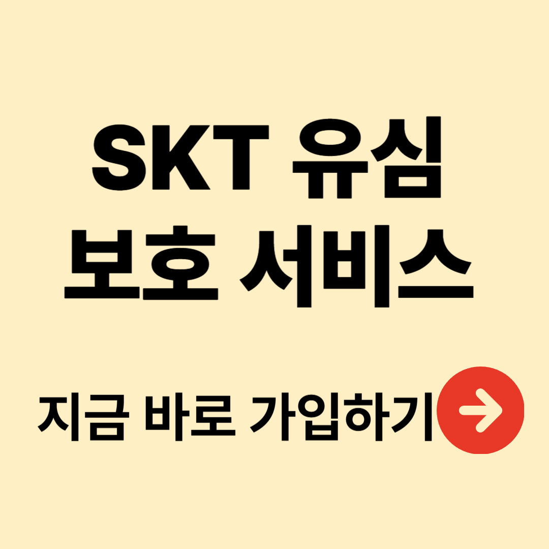 skt 유심보호 서비스