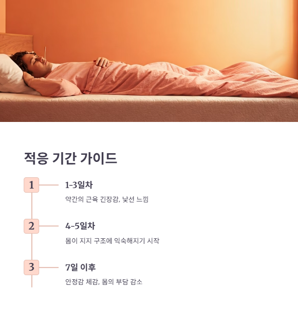 사용 시 유의할 점과 구매 전 체크포인트