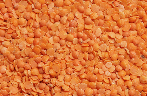 단백질 많은 음식 : 렌틸콩