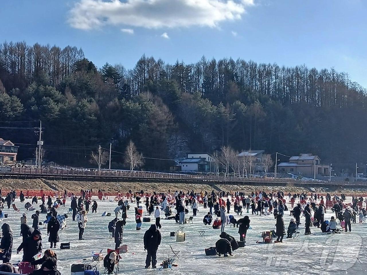 2025 평창 송어축제 예약