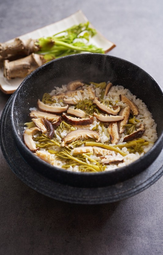 땅두릅 참두릅 효능과 부작용