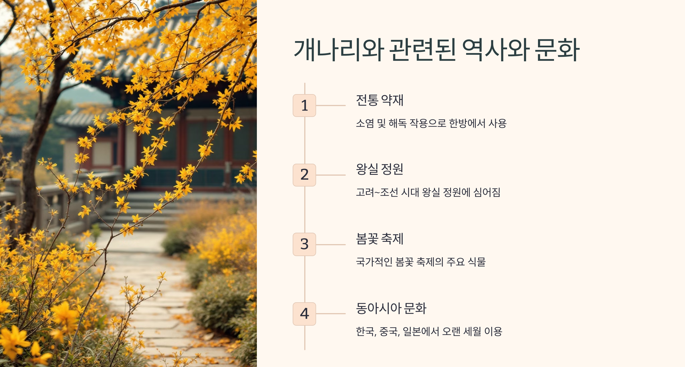 개나리꽃