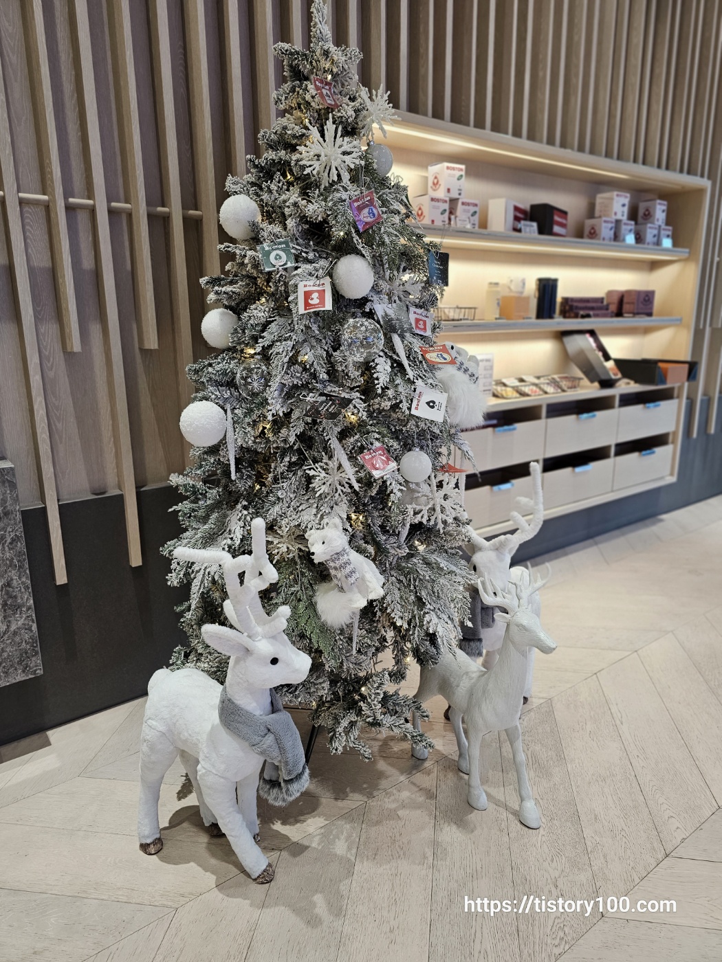 보스턴커피 동성로점