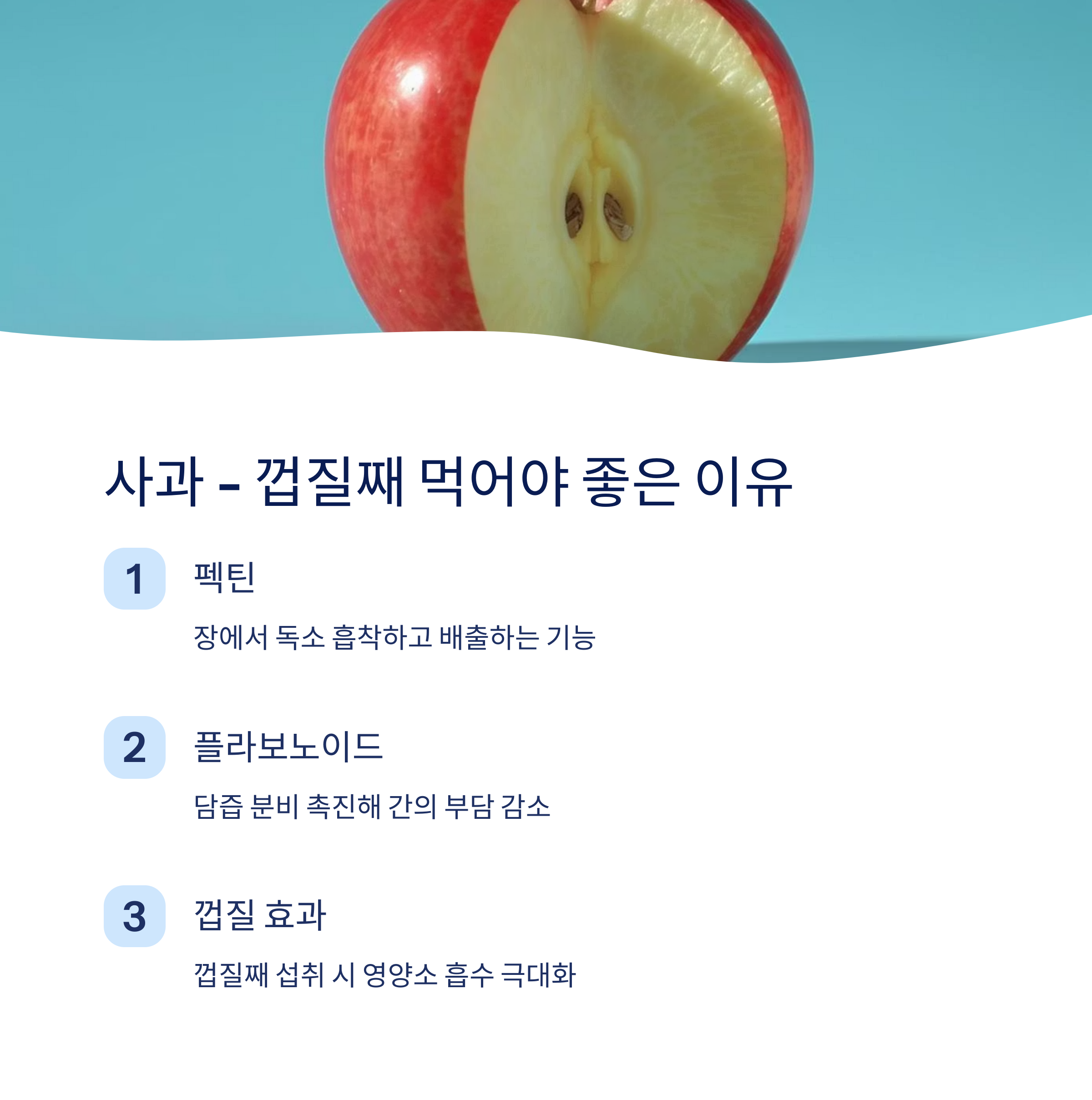 사과 껍질째 먹어야 좋은 이유
