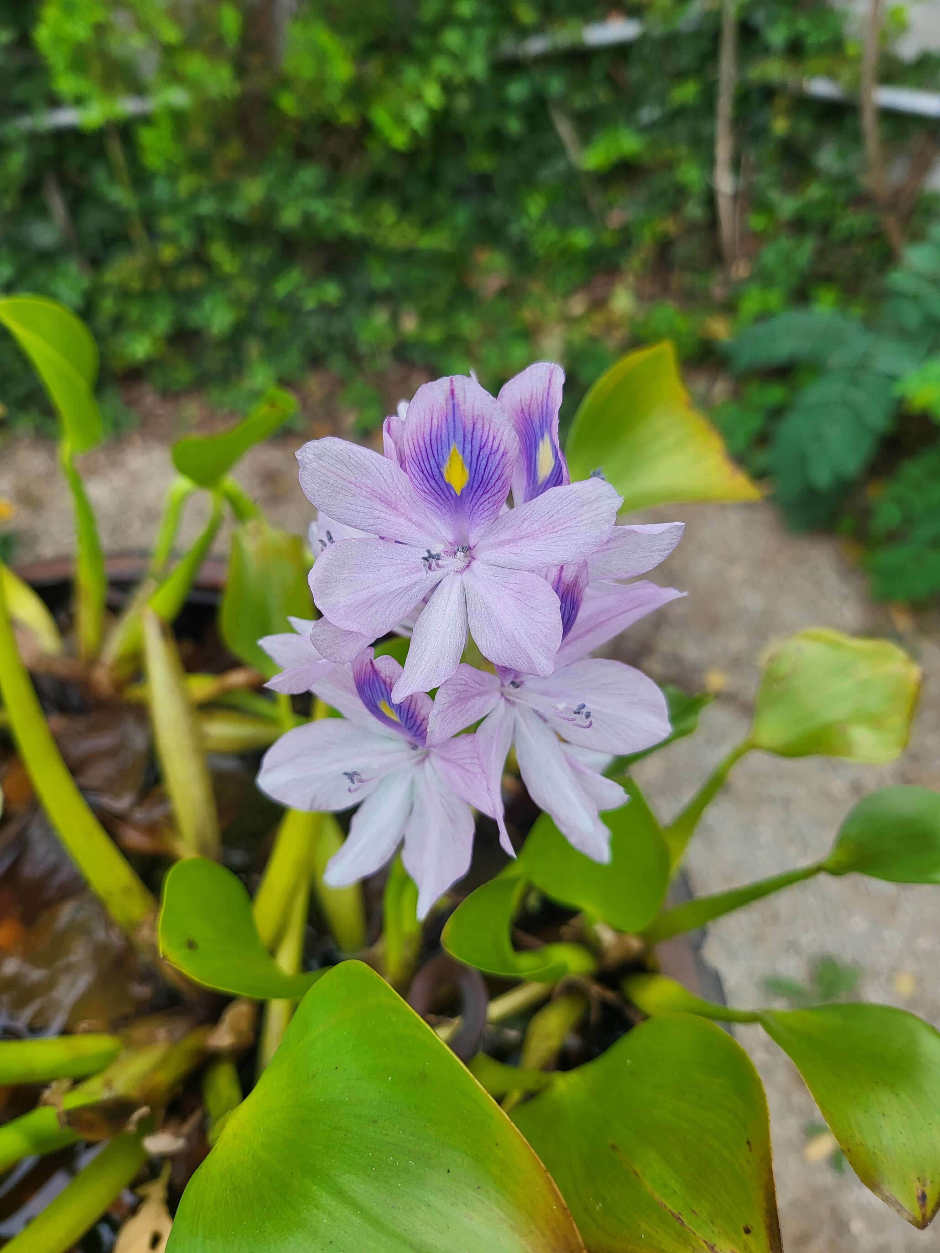 팔공산맛집_착한면옥