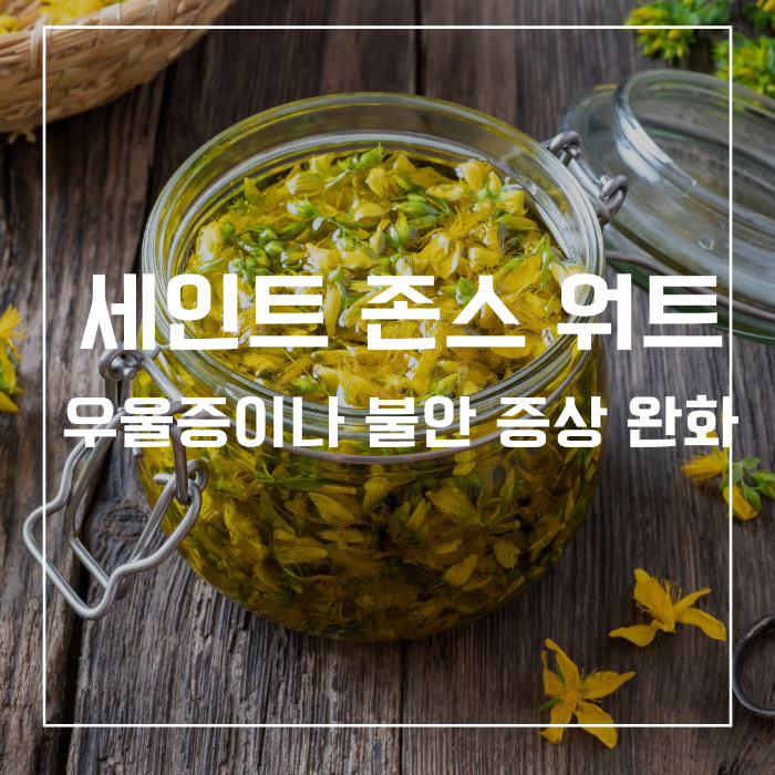 세인트 존스 워트