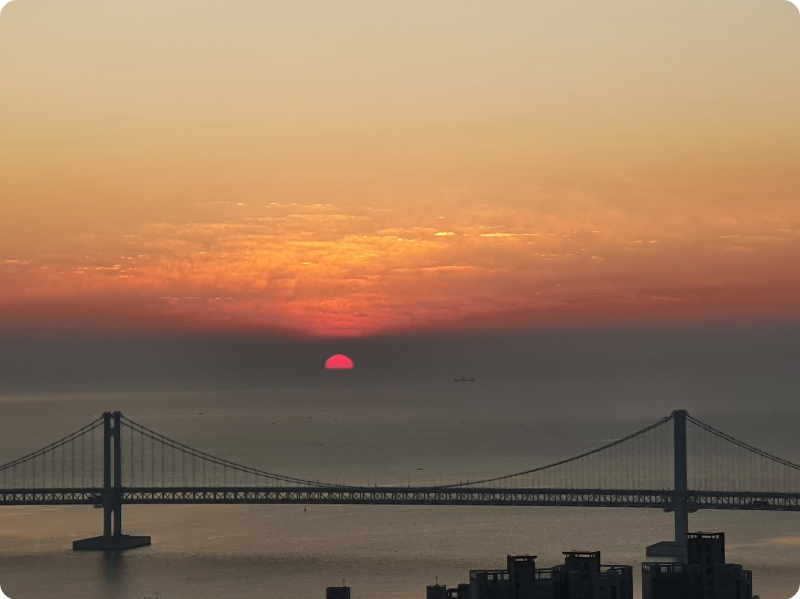 부산 금련산 새해 일출 해돋이 명소 이미지