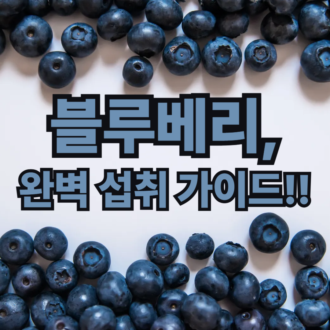 블루베리 섭취 가이드