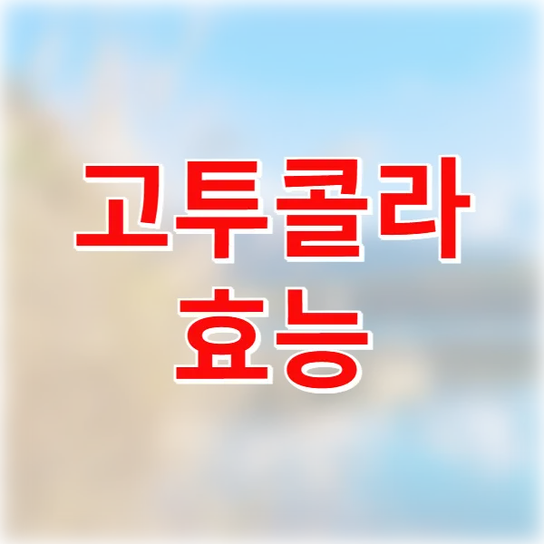고투콜라 효능