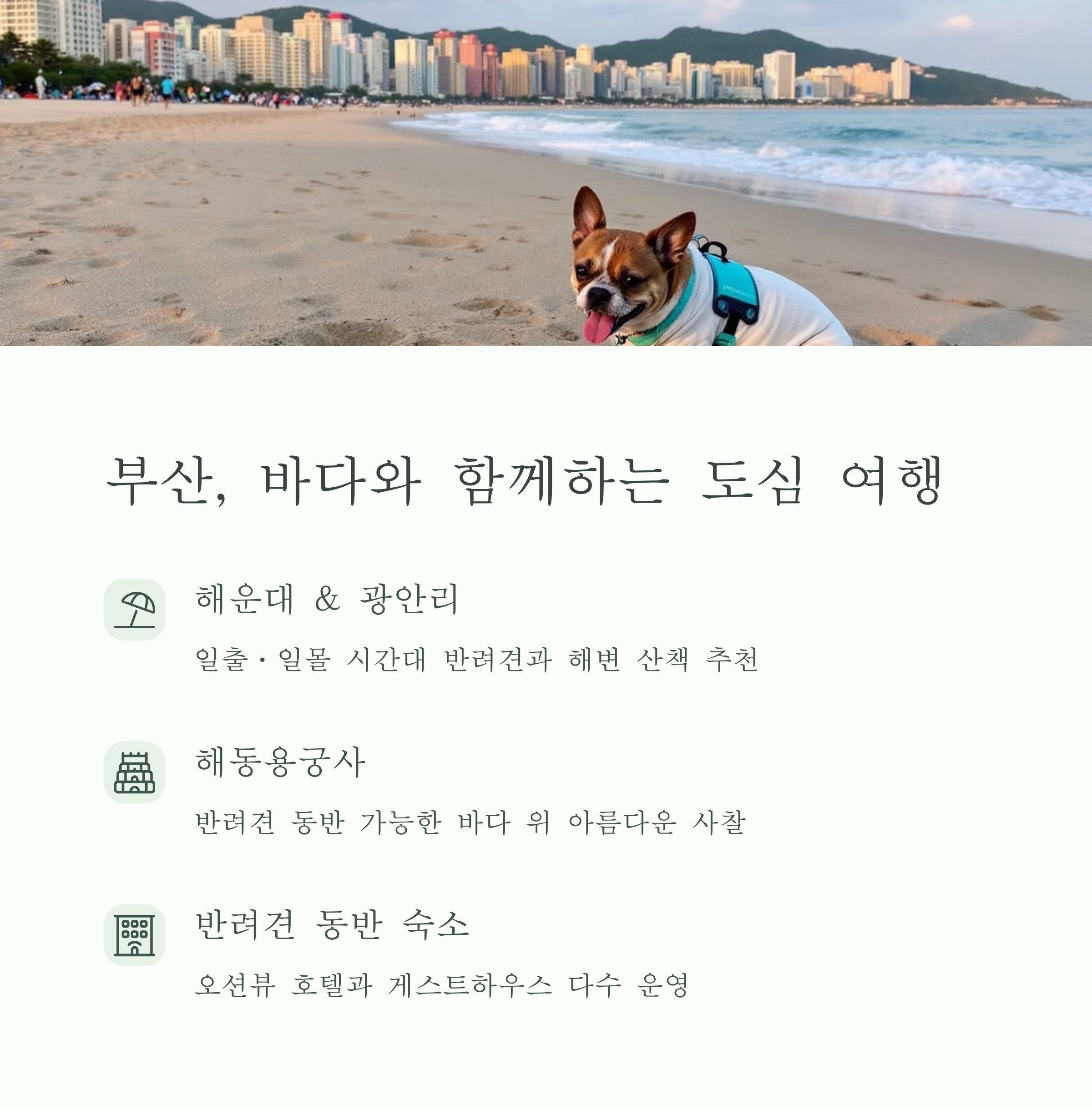 부산, 바다와 함께하는 도심 여행