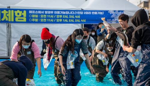 홍천강 꽁꽁축제 맨손낚씨