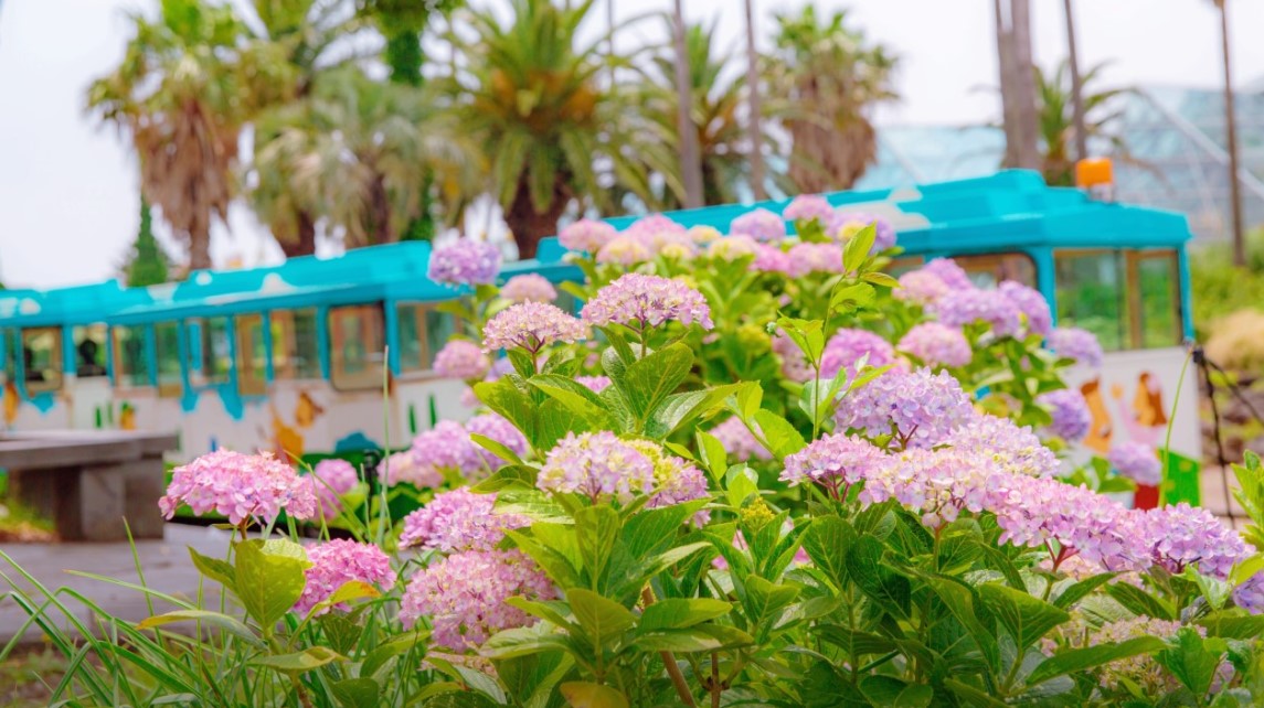 여미지식물원(8)