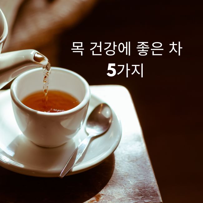 목 건강에 좋은 차 5가지