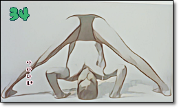 소소한요가 클래스