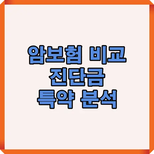 2025년 암보험 비교 가이드로 주요 보험사별 진단금 구성, 보험료 유형, 특약 차이점까지 한눈에 비교 분석할 수 있도록 정리했습니다.