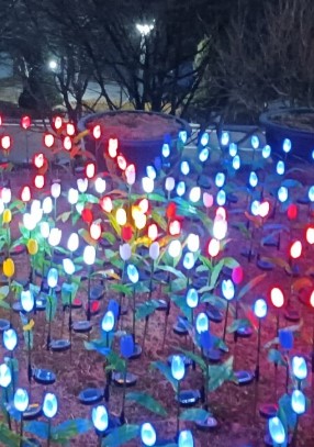 석모도 자연휴양림 숲나들e 국내 여행지 추천 관련 사진