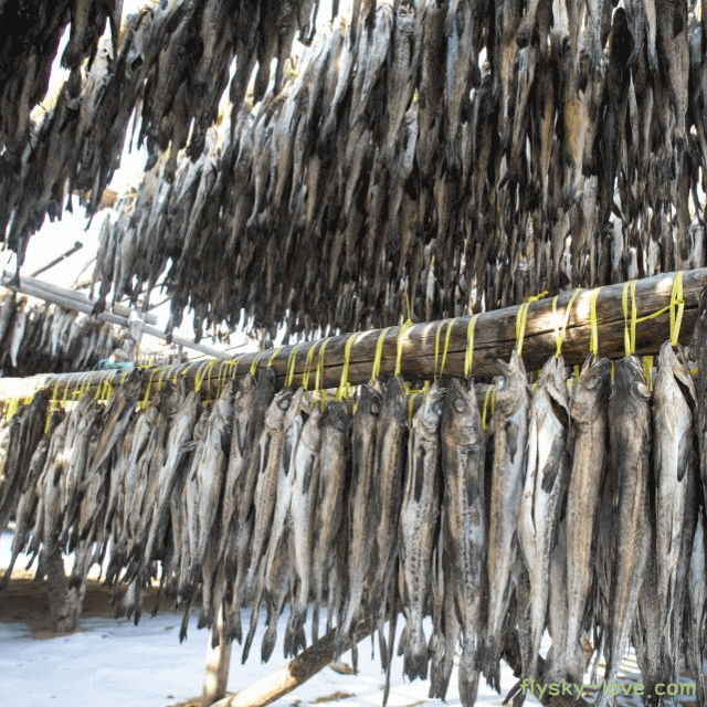 다양한 이름을 가진 명태